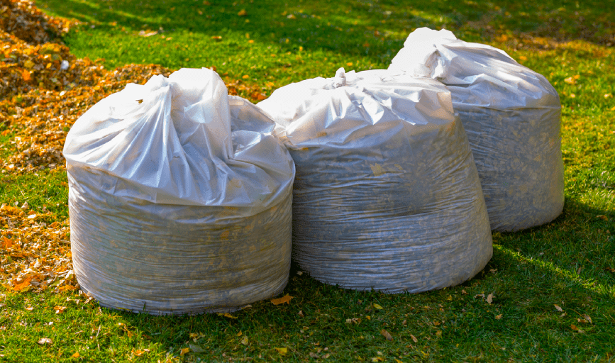 Yard Cleanup